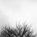 IMG_4142web